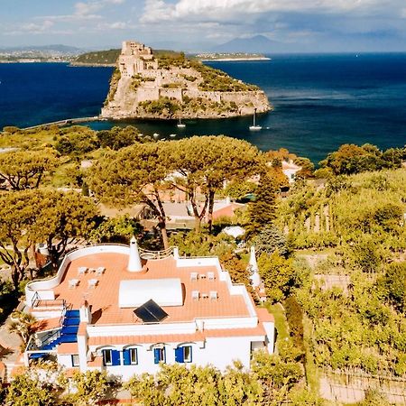 Villa Livia イスキア島 エクステリア 写真